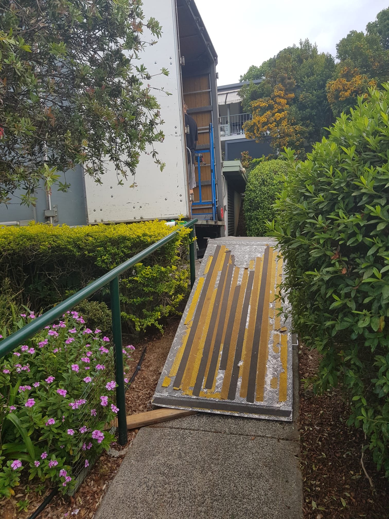 Interstate Removals